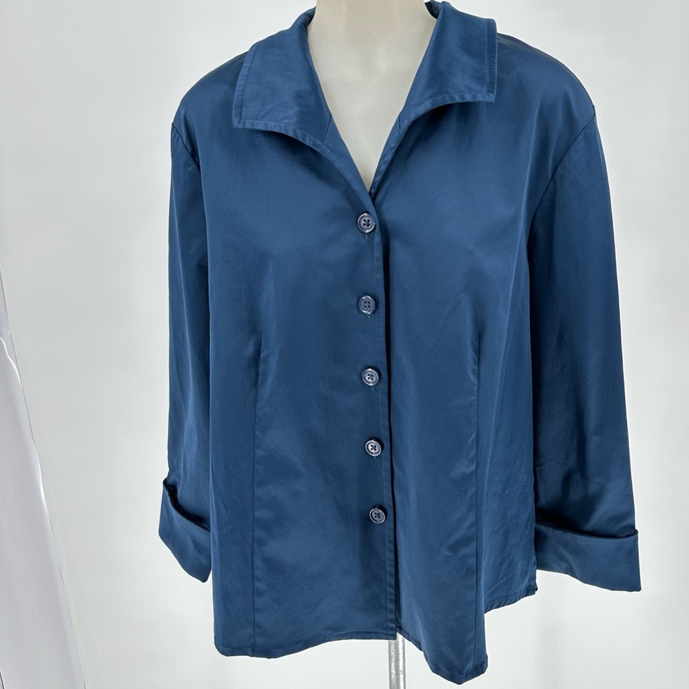 Linea by Louis Dell’Olio Blue Long Sleeve Button Front Shirt X-Large Cotton